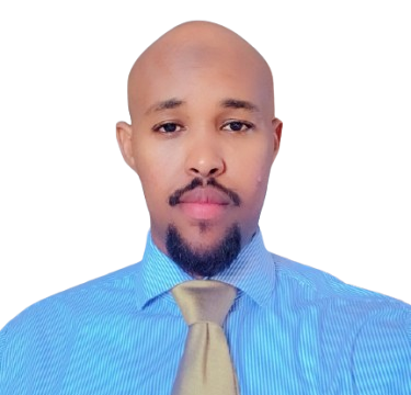 CEO & System Analyst